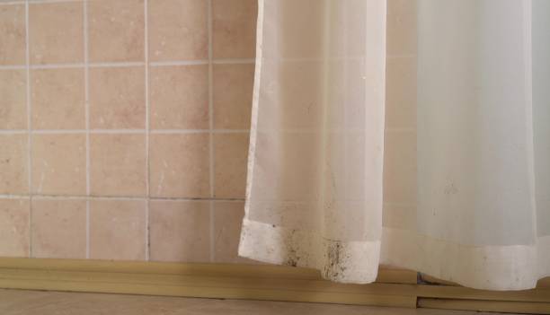Best Commercial Mold Inspection  in Frankl, IN