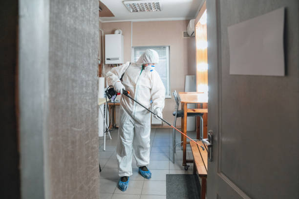 Best Mold-Related Health Consultation  in Frankl, IN
