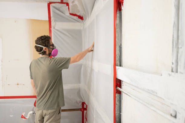 Best Comprehensive Air Testing for Mold Contaminants  in Frankl, IN