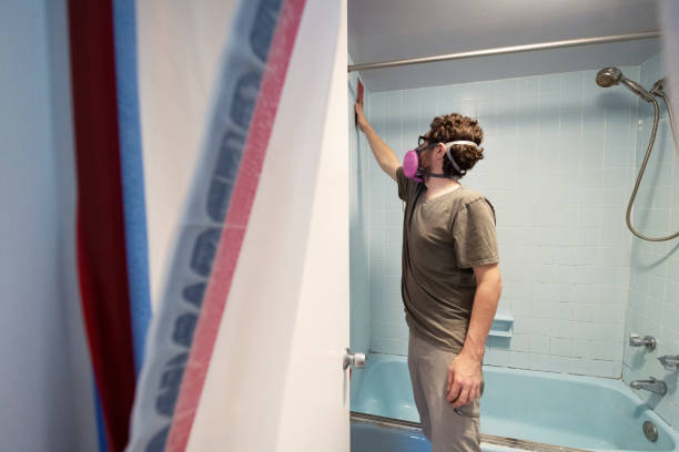 Best Water Damage & Mold Remediation  in Frankl, IN