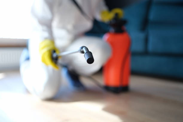 Best Dehumidification Services  in Frankl, IN
