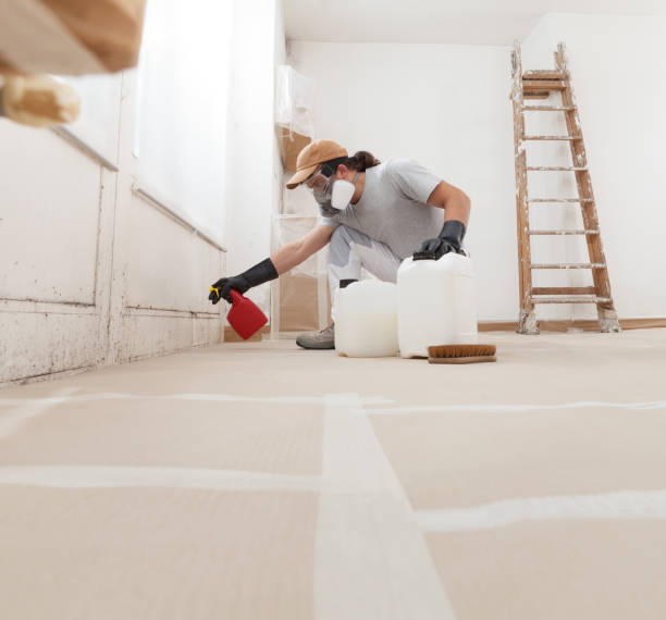 Forensic Mold Investigation in Franklin, IN